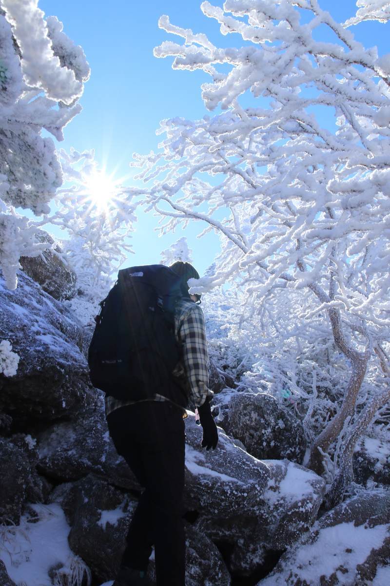 f:id:yamatori0422:20211212174053j:plain