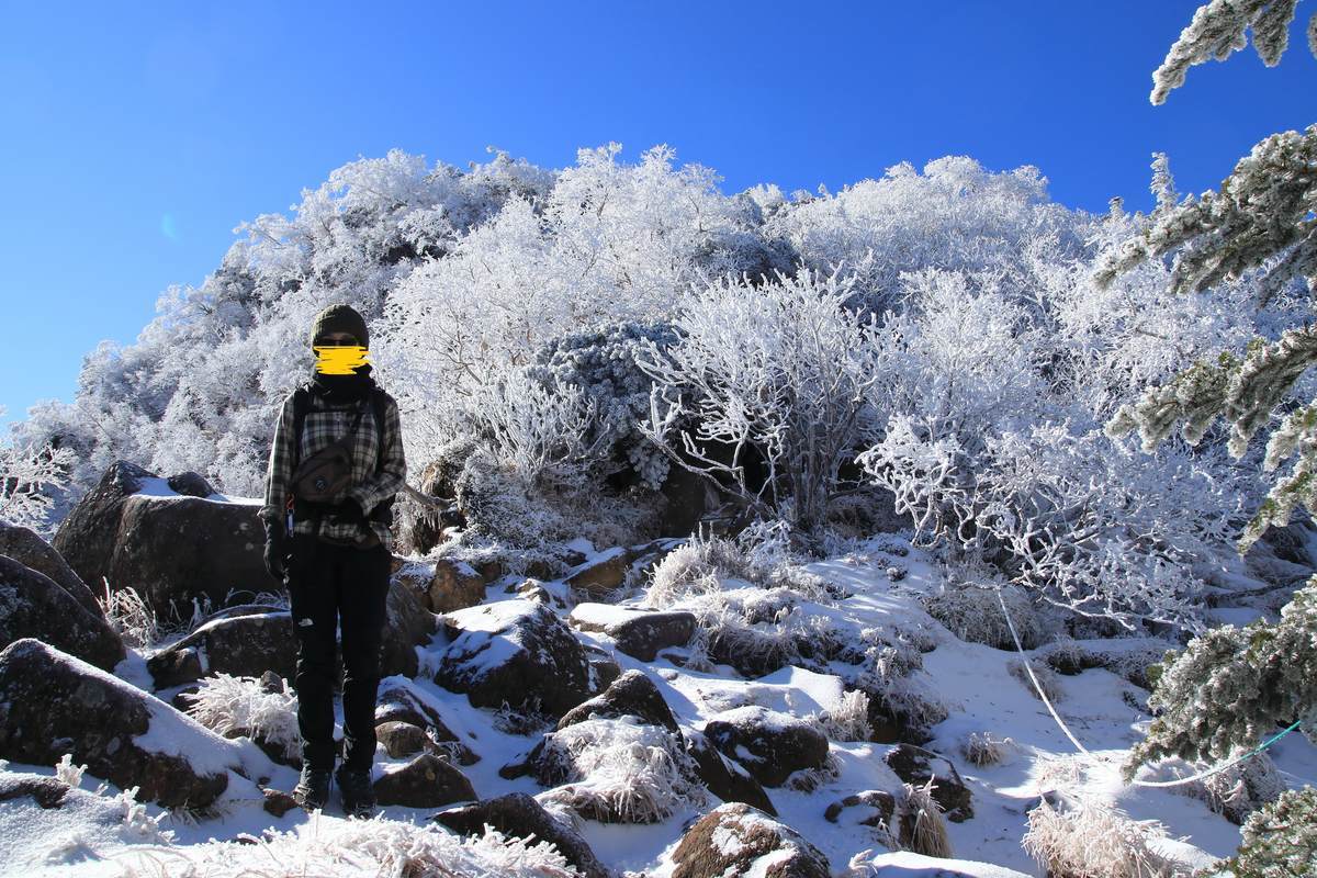 f:id:yamatori0422:20211212174244j:plain