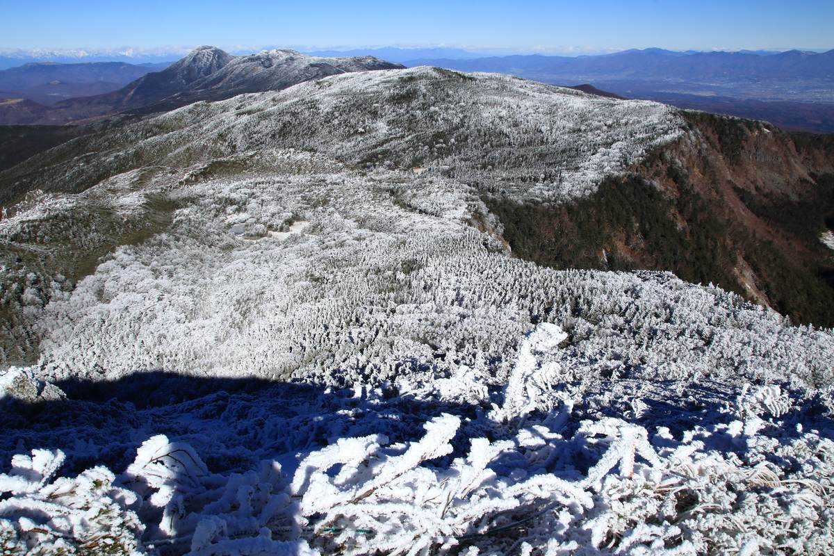 f:id:yamatori0422:20211212175959j:plain