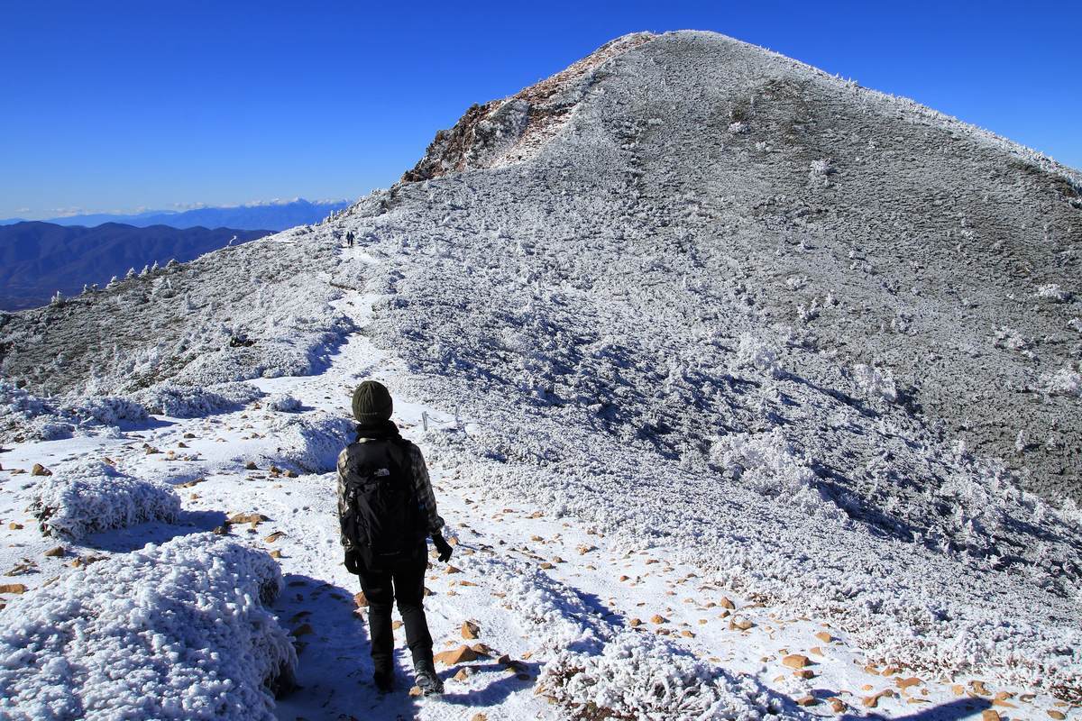 f:id:yamatori0422:20220116153951j:plain