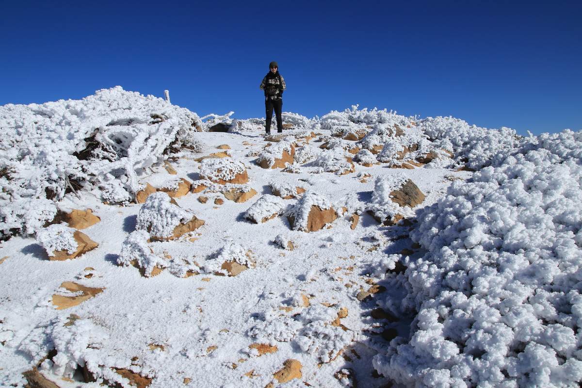 f:id:yamatori0422:20220116155724j:plain