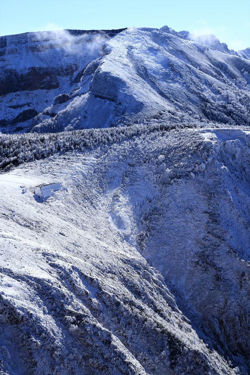 f:id:yamatori0422:20220116160315j:plain