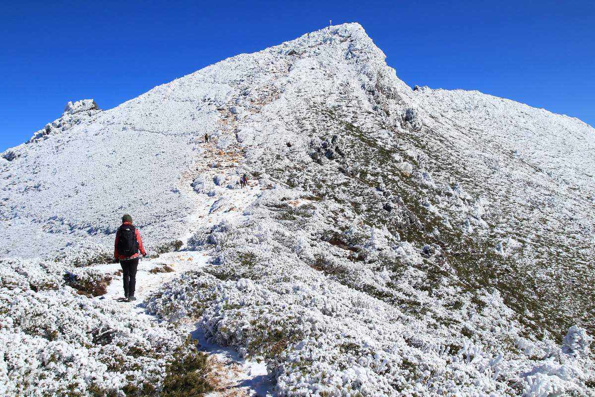 f:id:yamatori0422:20220116161917j:plain