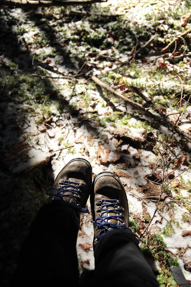 f:id:yamatori0422:20220116162916j:plain