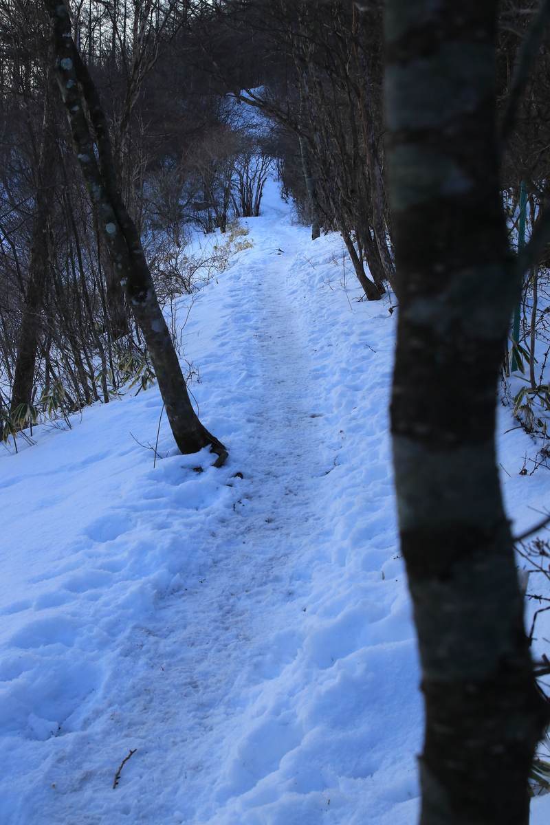 f:id:yamatori0422:20220316201738j:plain