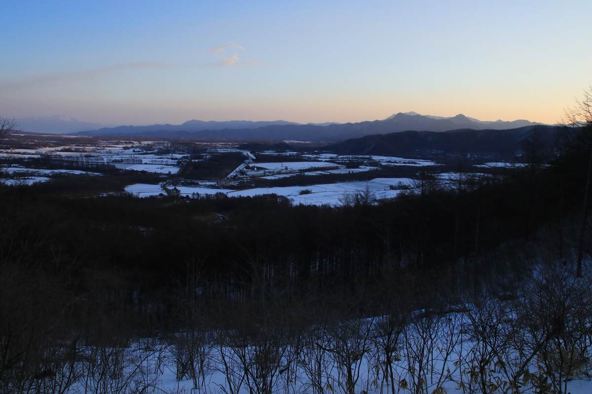 f:id:yamatori0422:20220316201855j:plain