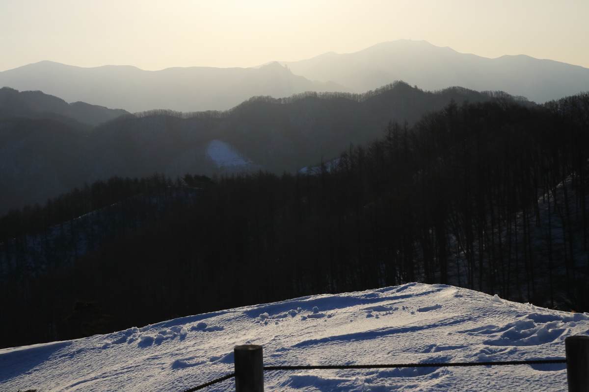 f:id:yamatori0422:20220320171557j:plain