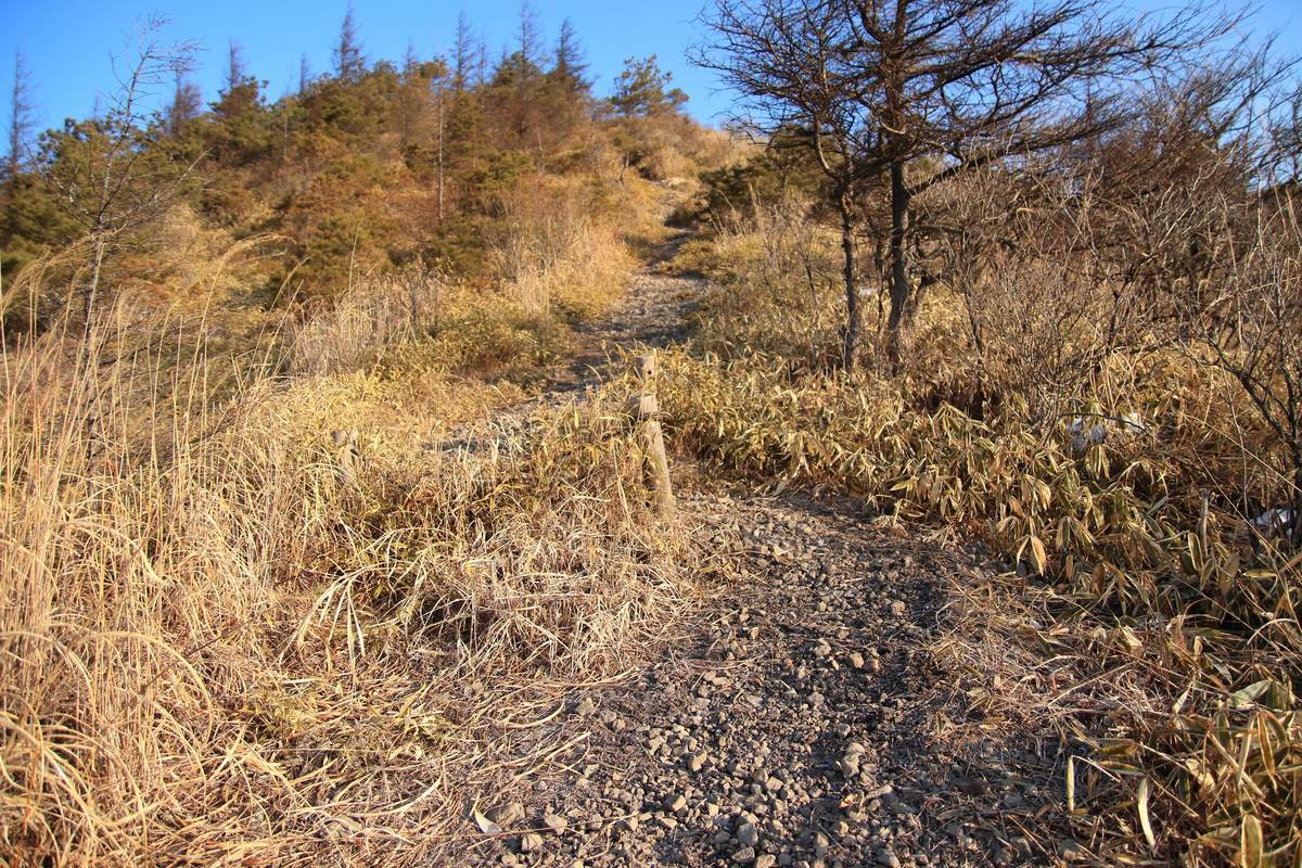 f:id:yamatori0422:20220320172039j:plain