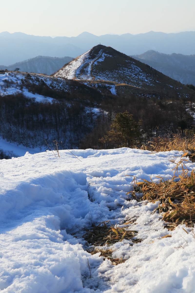 f:id:yamatori0422:20220320172658j:plain