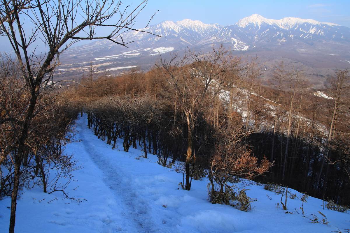 f:id:yamatori0422:20220320172748j:plain