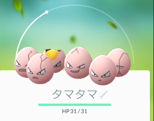 ポケモンgo 閲覧注意 タマタマ 上からみちゃだめ ちょっぴり幸せになる