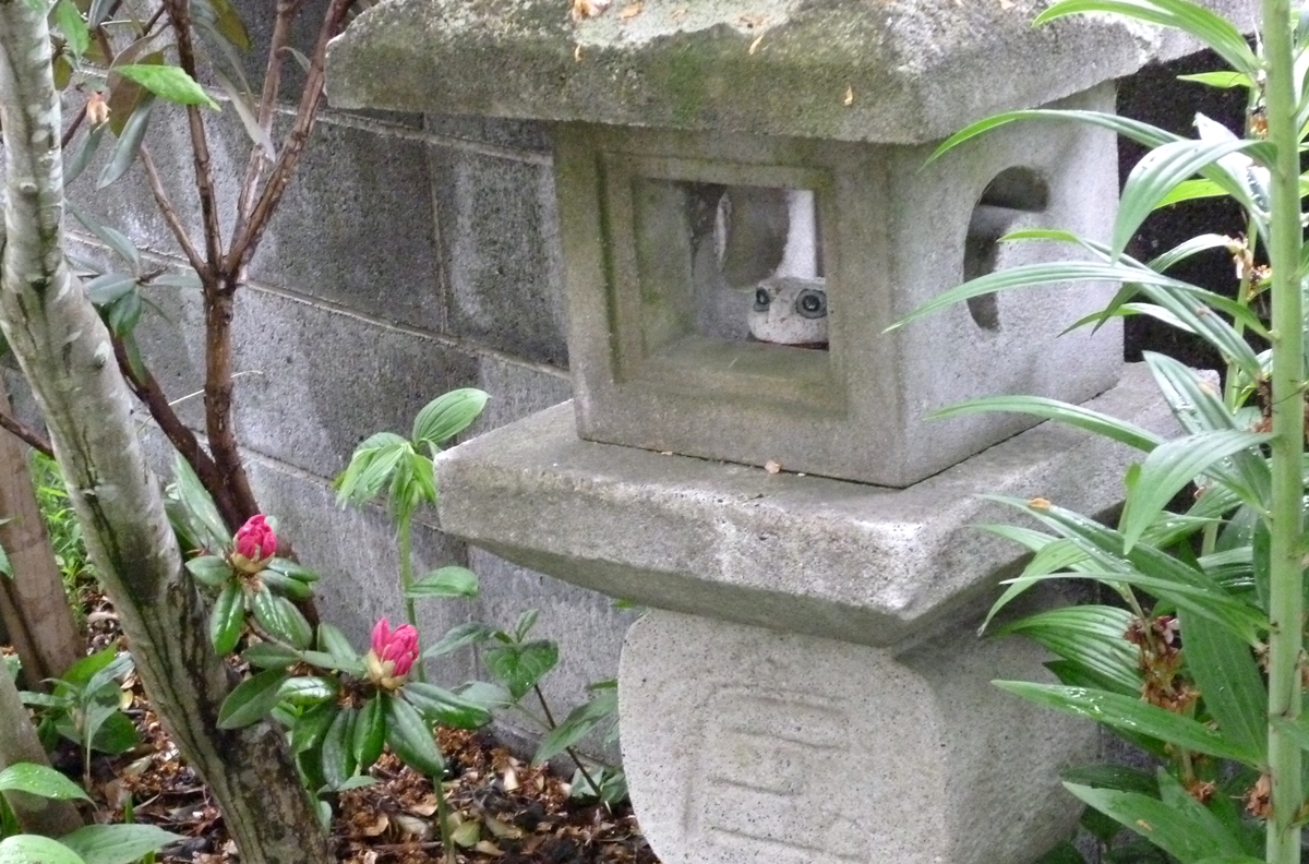 f:id:yamauba:20190830224750j:plain f:id:yamauba:20190830224750j:plain