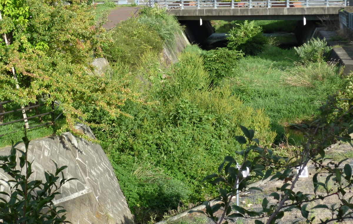 f:id:yamauba:20190901175903j:plain