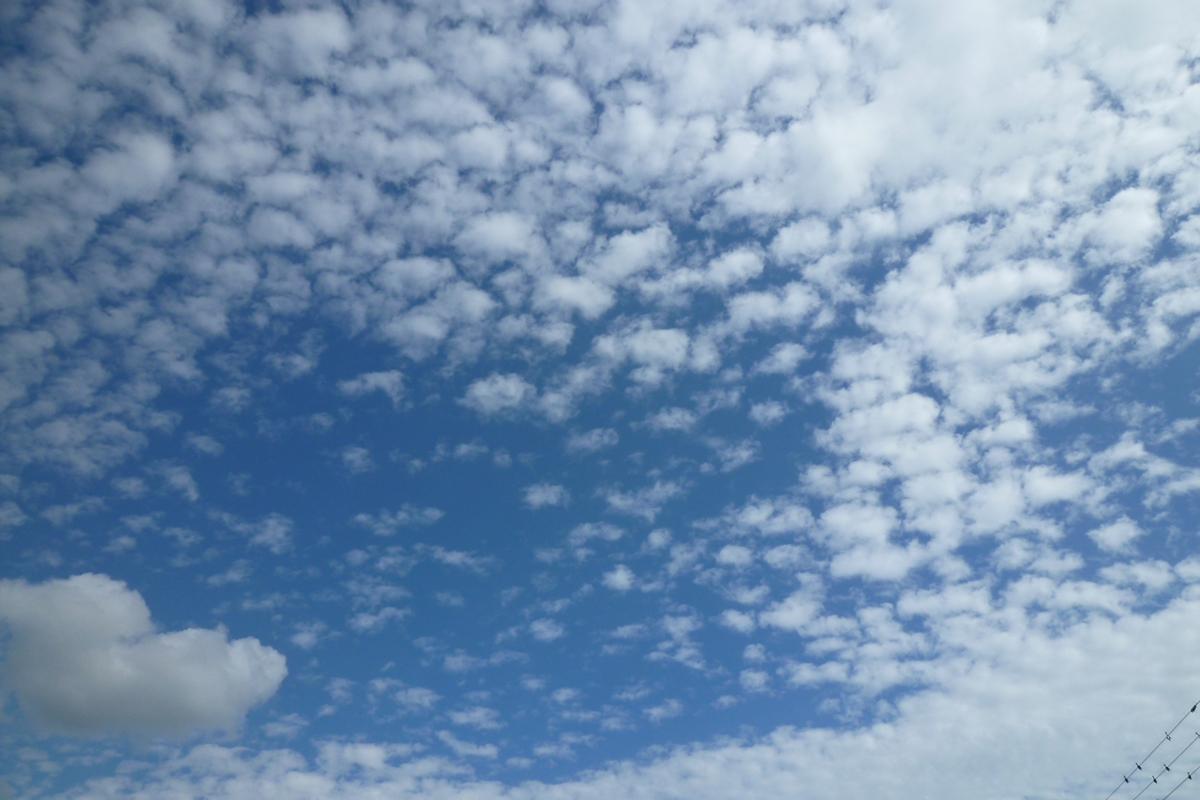 f:id:yamauba:20190915183604j:plain f:id:yamauba:20190915183604j:plain