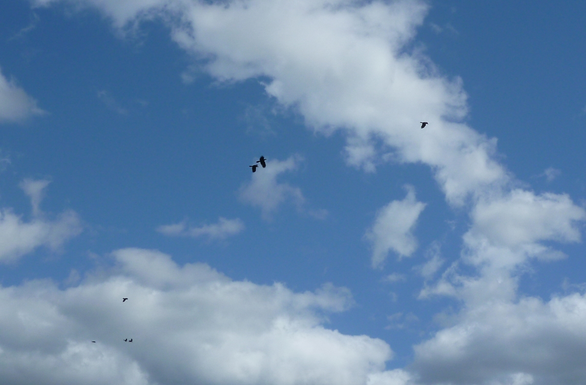 f:id:yamauba:20190919192941j:plain