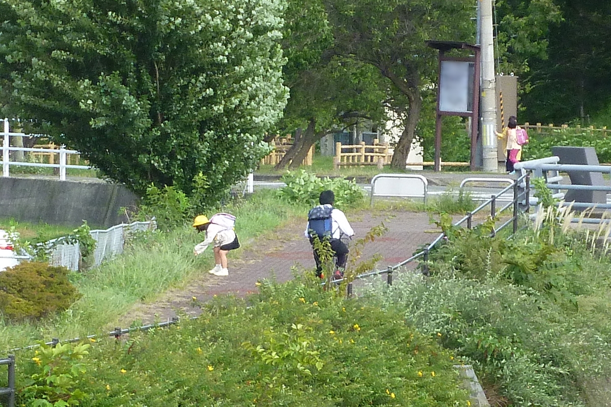 f:id:yamauba:20190919194312j:plain