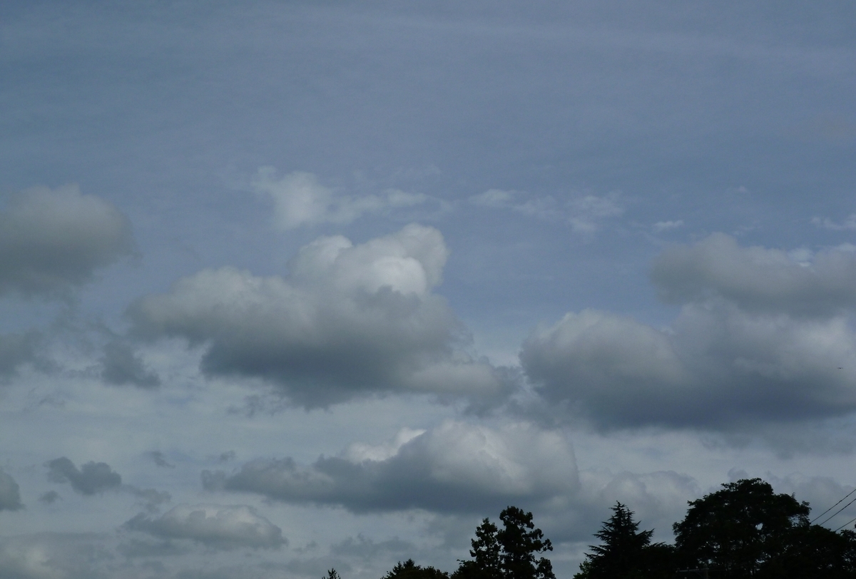 f:id:yamauba:20190922010725j:plain