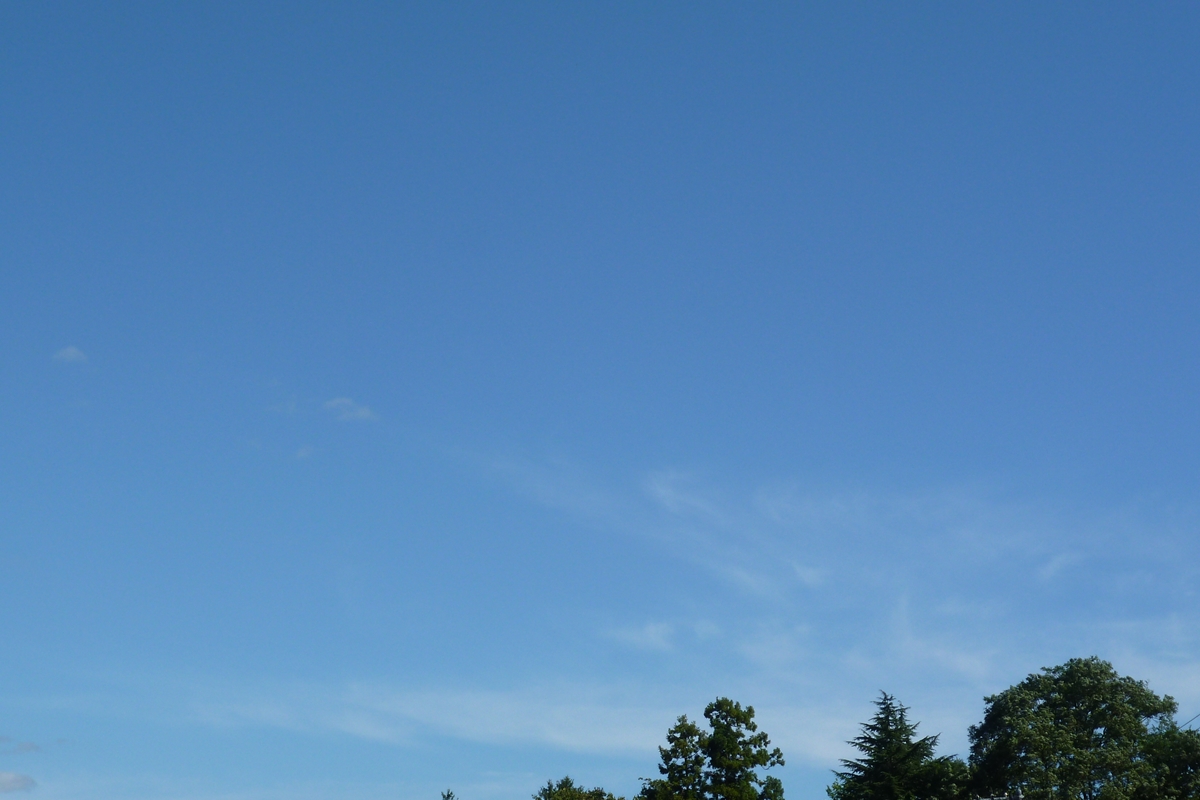 f:id:yamauba:20190926202127j:plain f:id:yamauba:20190926202127j:plain