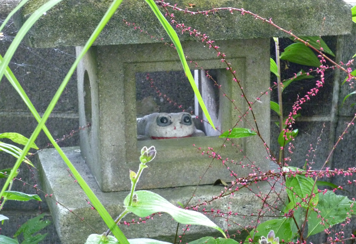 f:id:yamauba:20190929230303j:plain