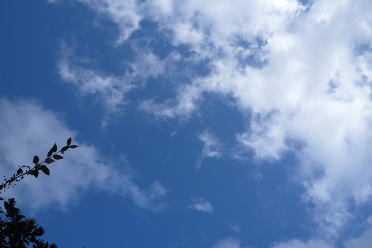 f:id:yamauba:20190929235423j:plain