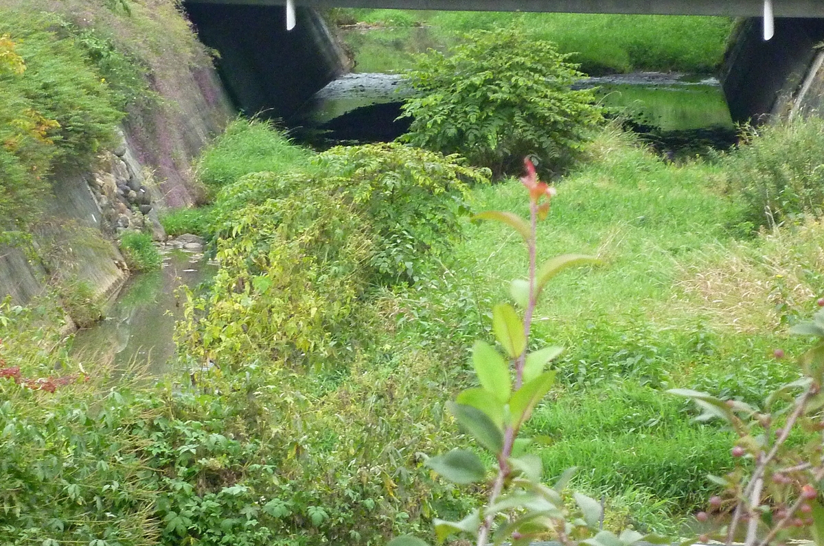f:id:yamauba:20191003211953j:plain