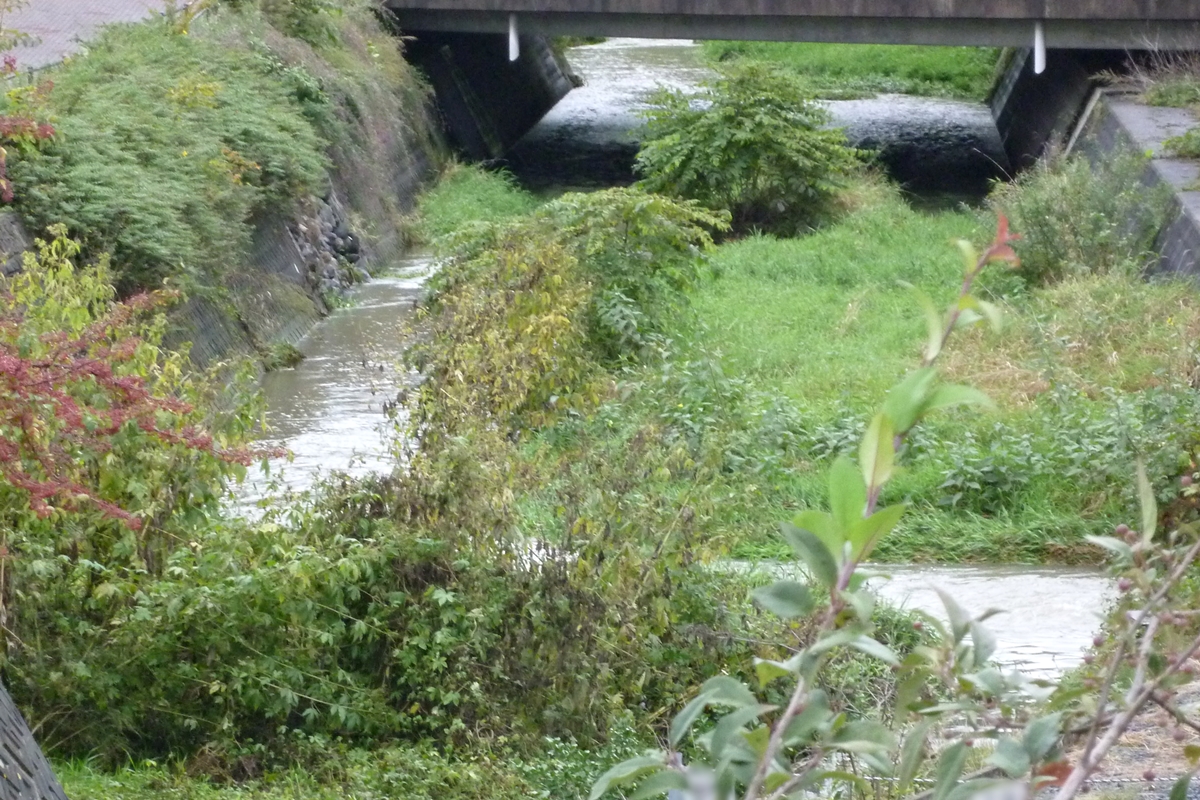 f:id:yamauba:20191012214244j:plain