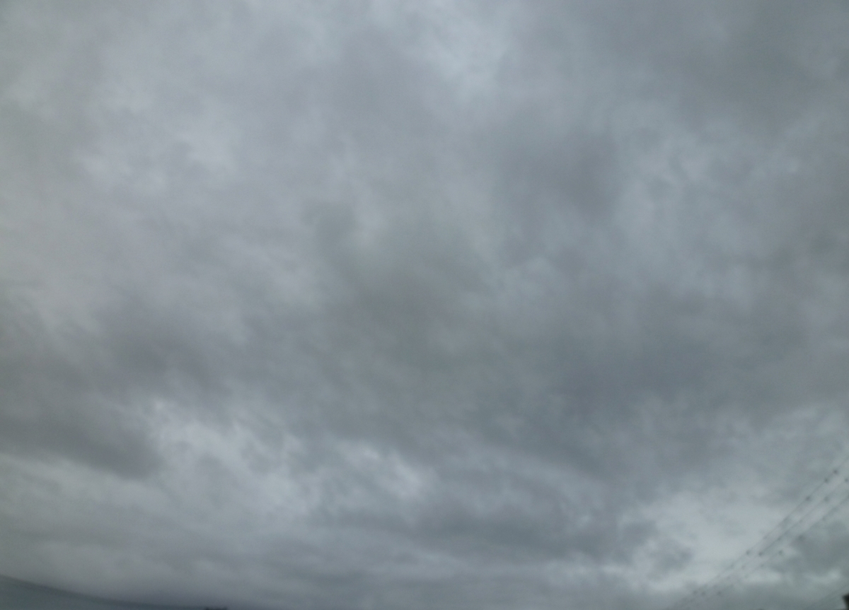 f:id:yamauba:20191012224337j:plain