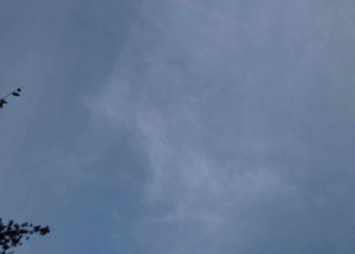 真上の空 薄い雲の向こうに青空