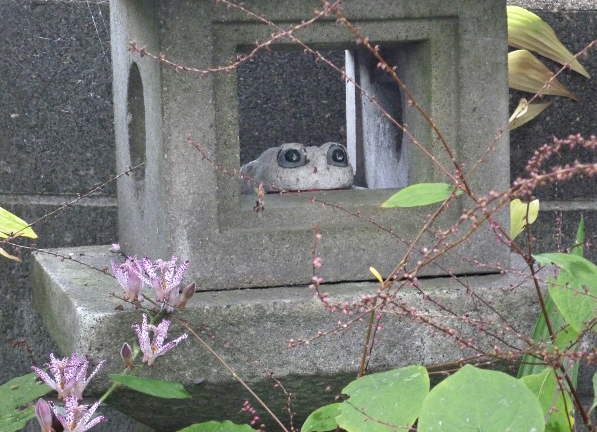 花や植物に囲まれた石灯籠と石製のカエル