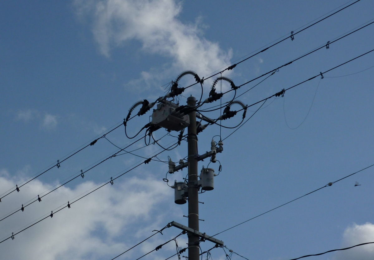 電柱とトンボ