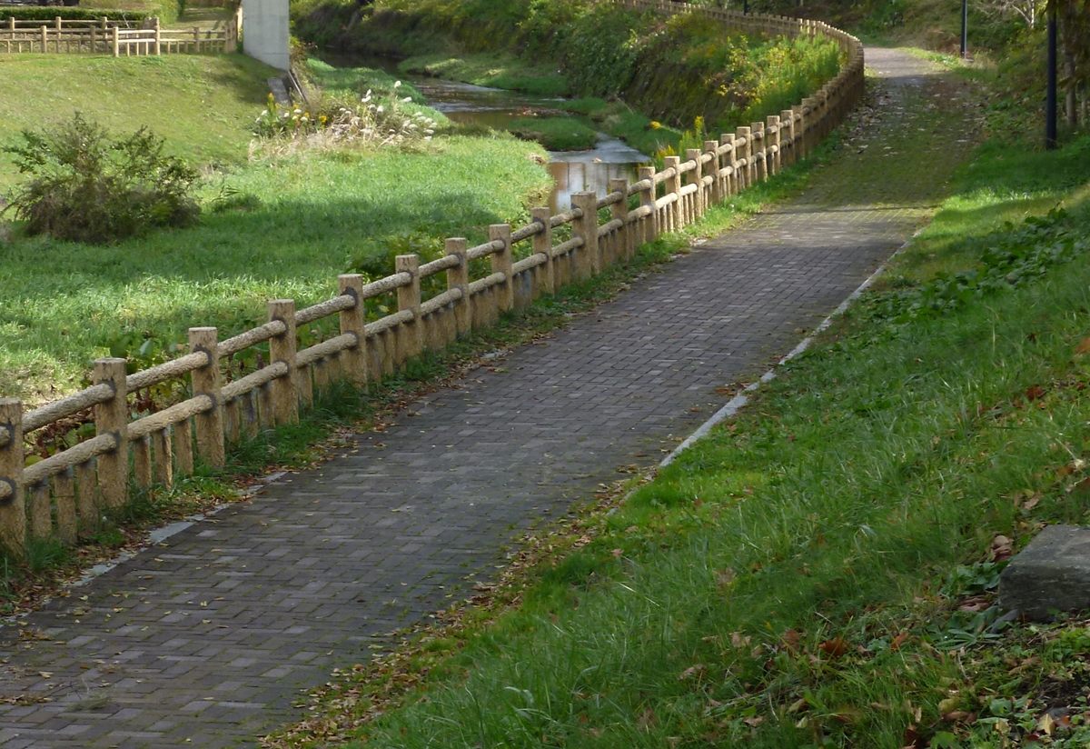 木漏れ日の遊歩道