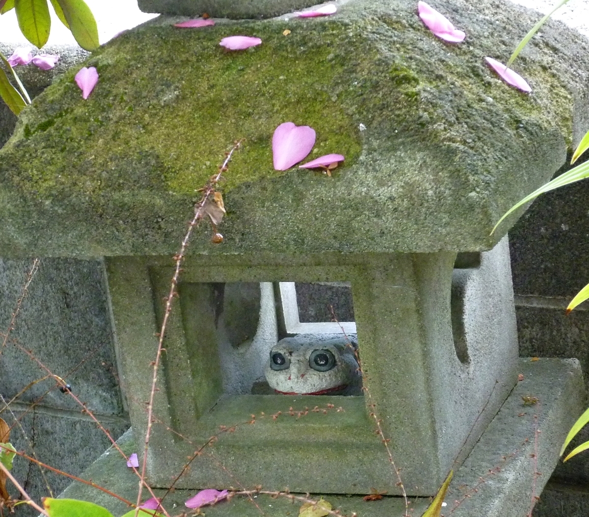山茶花の花びらをのせた石灯籠と石製のカエル