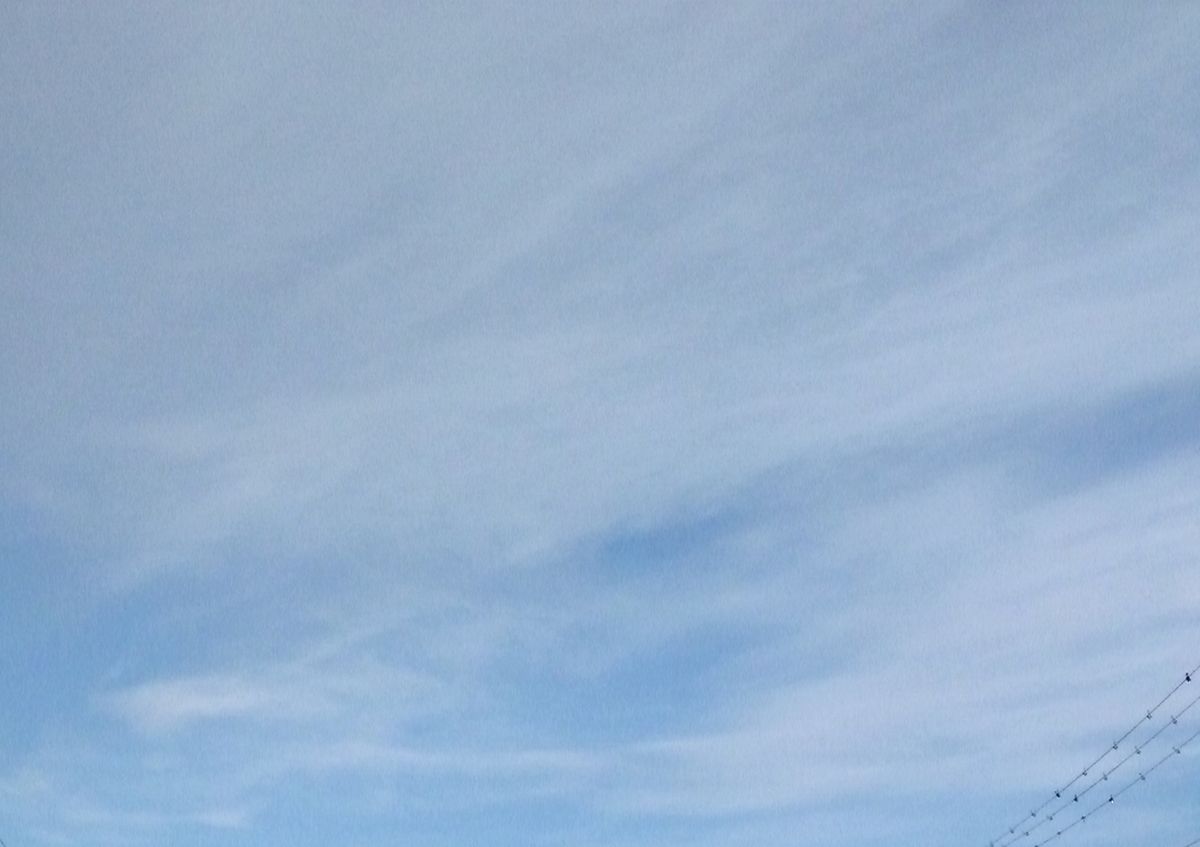躍動的な初冬の雲