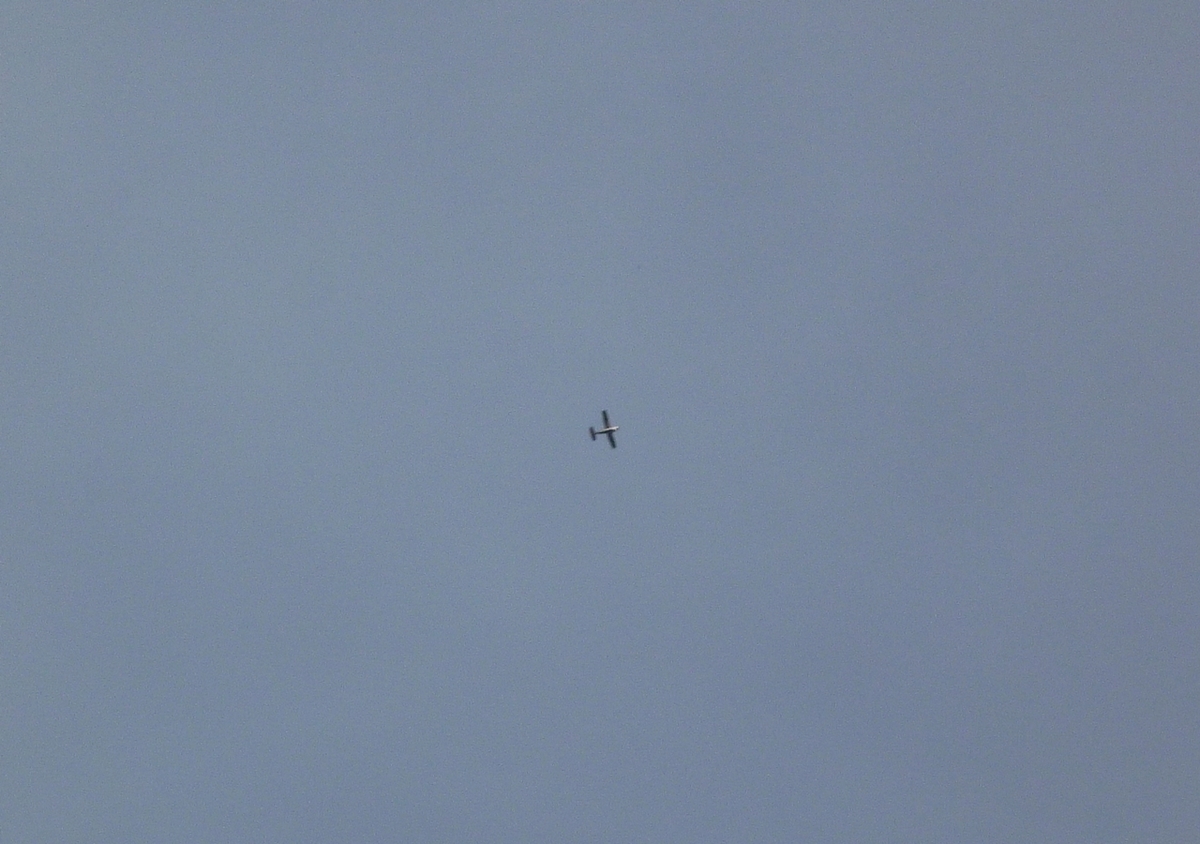 遥か上空を飛ぶセスナ機