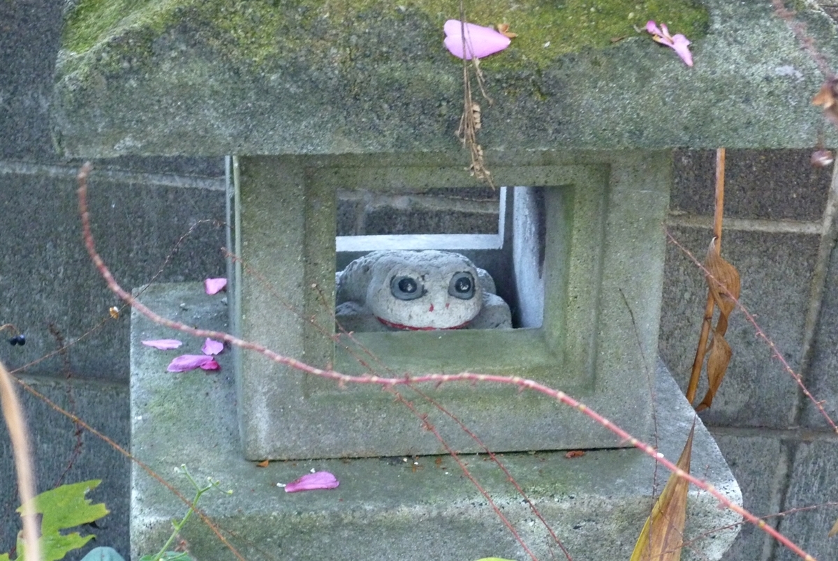 散った山茶花の花びらを乗せた石灯籠と石製のカエル