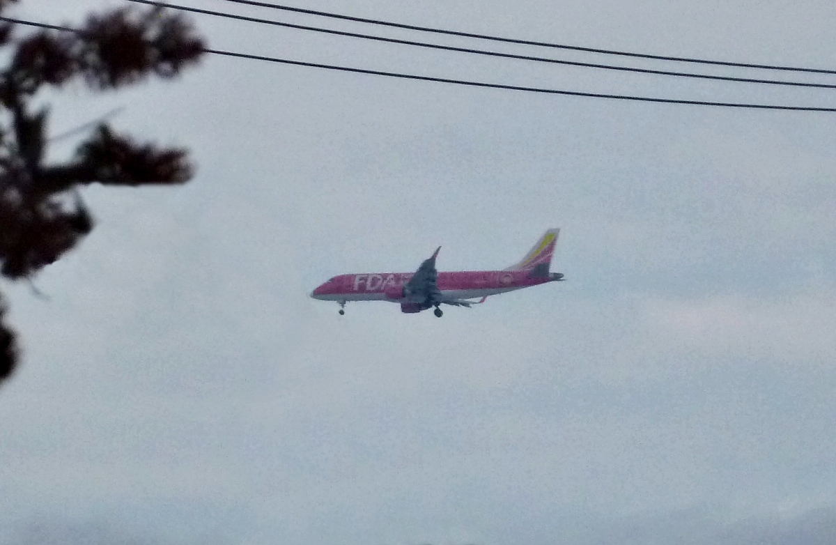 着陸態勢の赤い旅客機