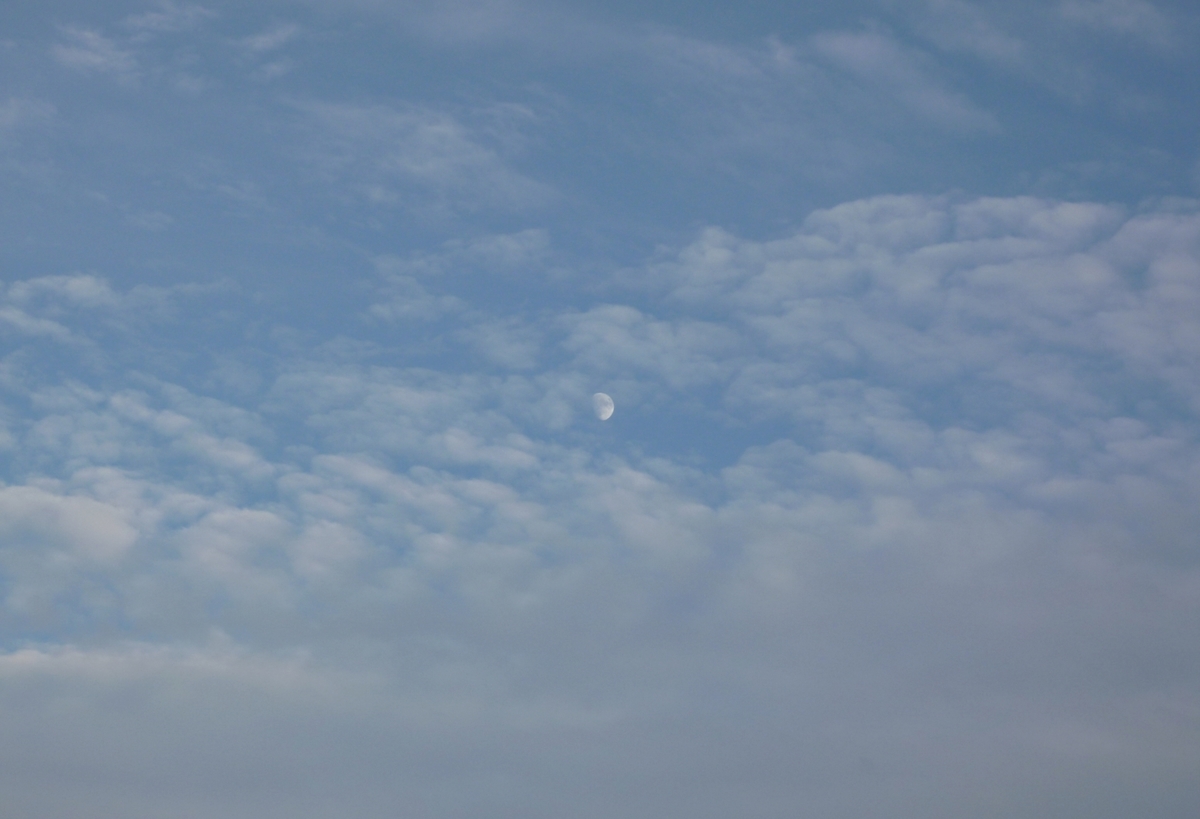 日中の空と月