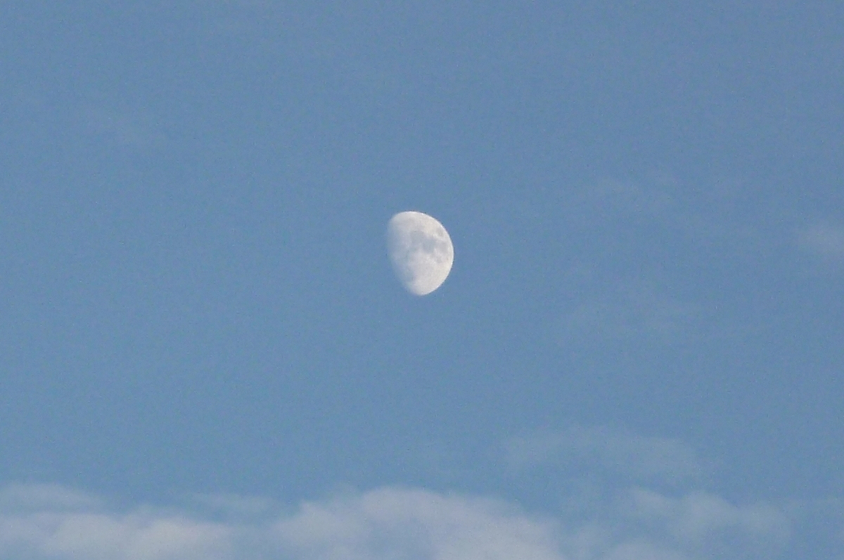 日中の空と月