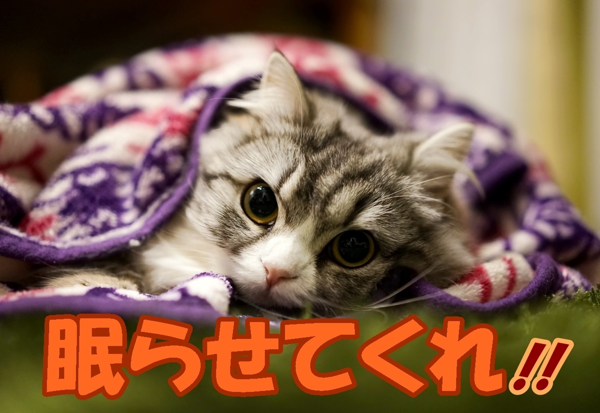 介護うつより介護に影響を及ぼす睡眠障害 アイキャッチ画像