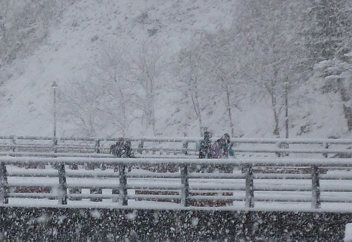 大雪 登校 小学生