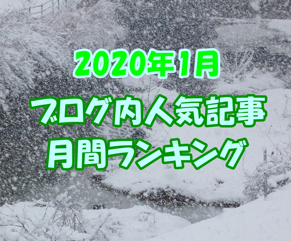 2020年 1月 ブログ内 人気 記事 ランキング