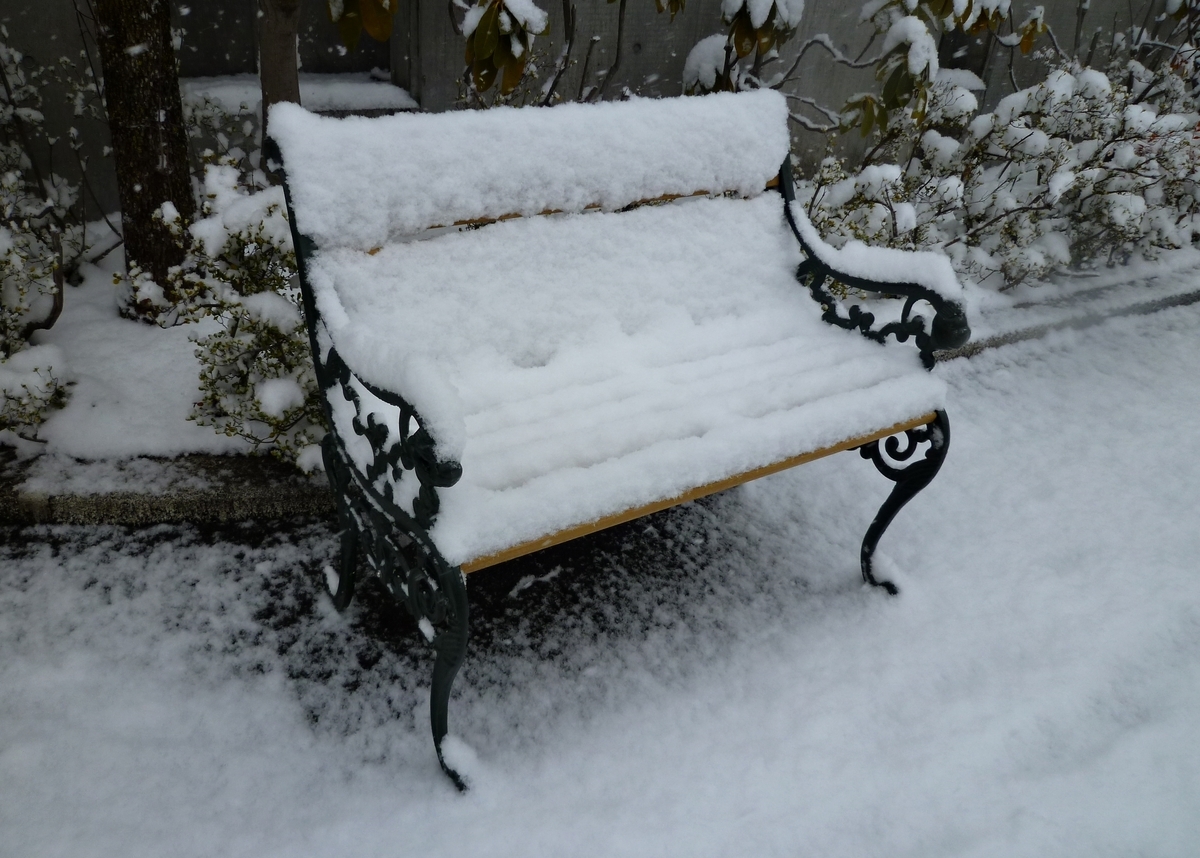 雪で座れないベンチ