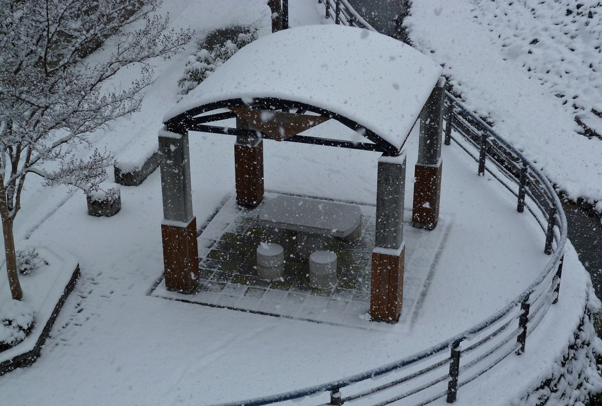公園 東屋 吹雪