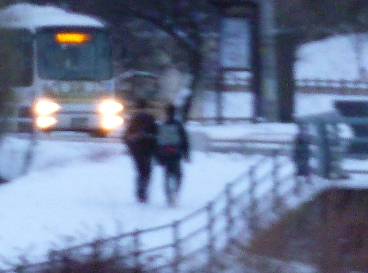 苦痛 ミルタザピン リフレックス 効果 副作用 初診 受診状況等証明書