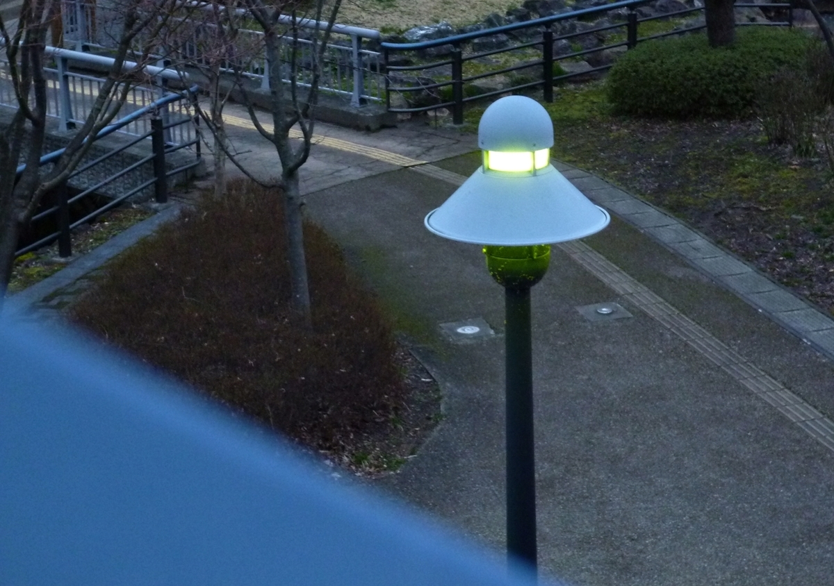 公園 ライト