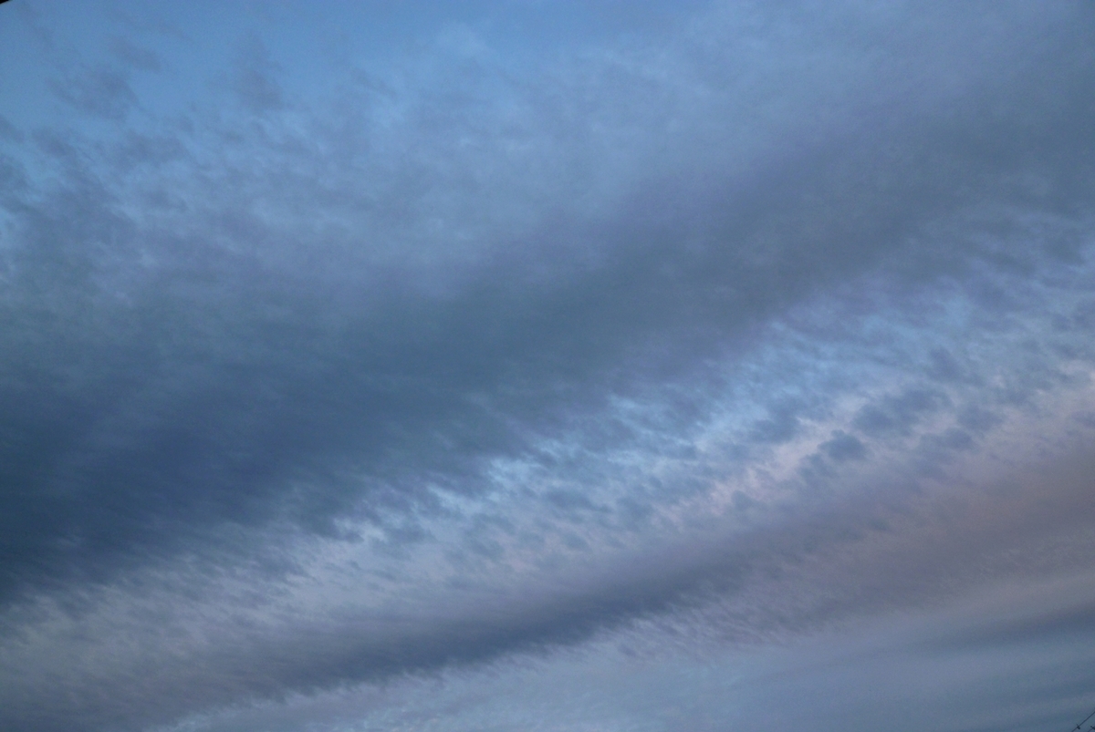 『麒麟がくる』12回 信秀の最期 芸術性の高さに魅了された回