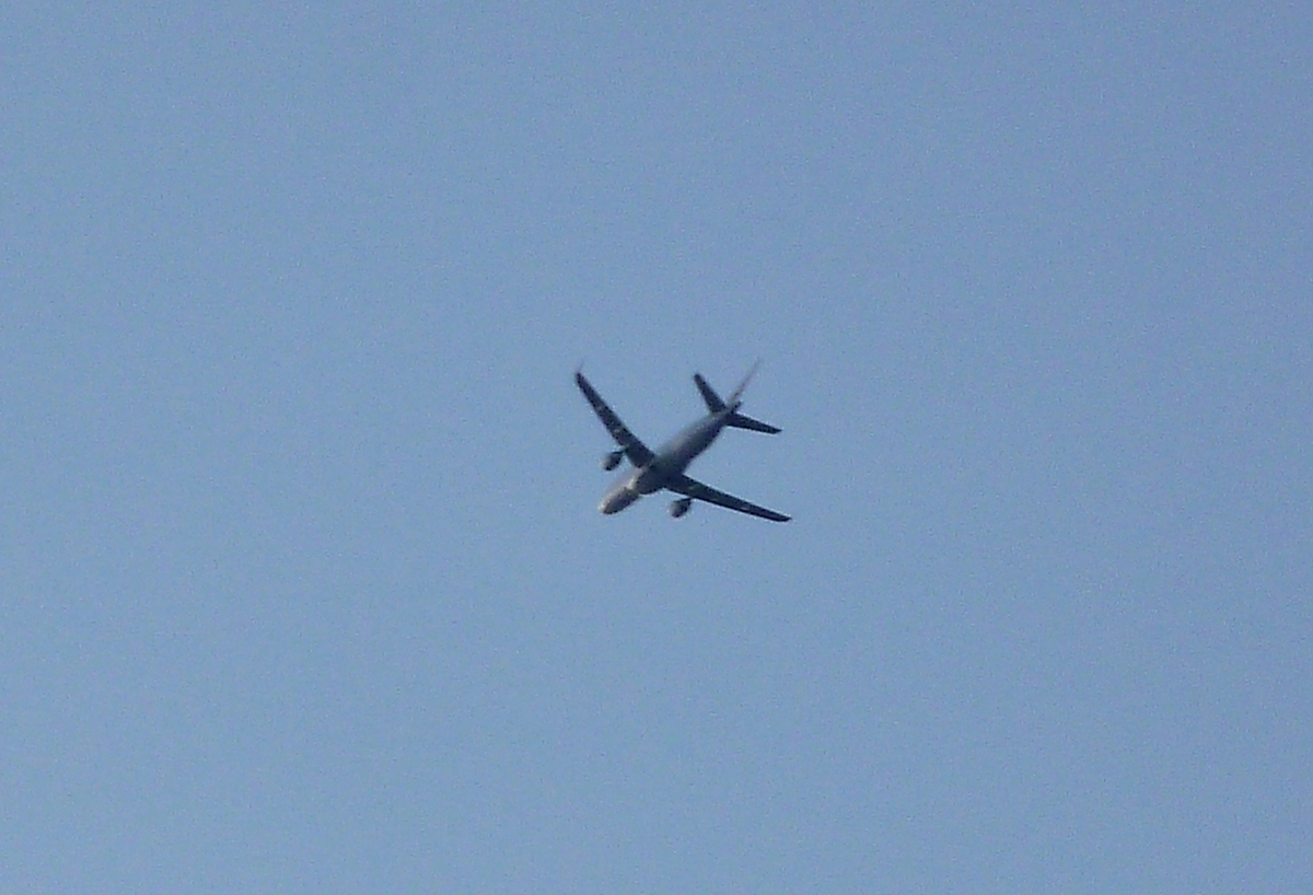 飛行機 旅客機 離陸