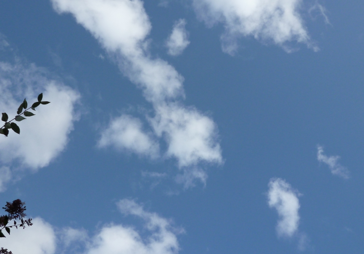 青空と雲