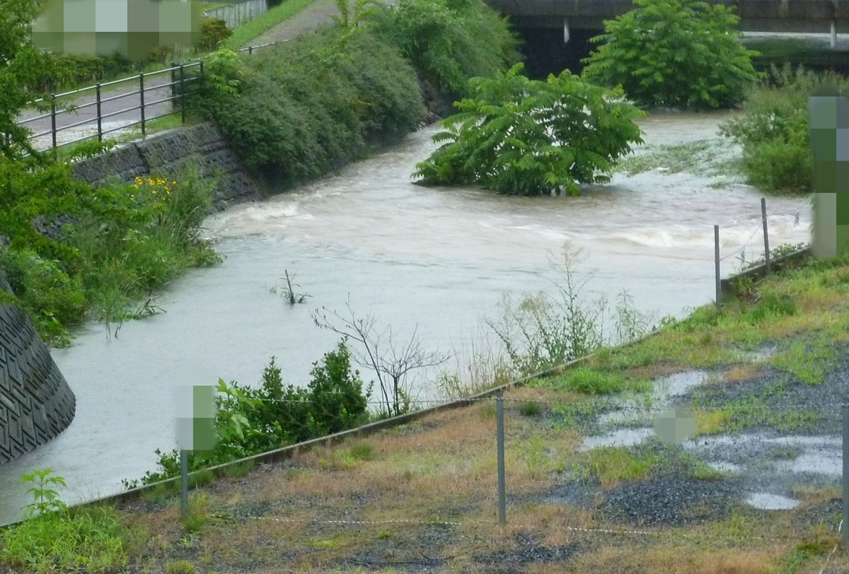 増水した小さな川