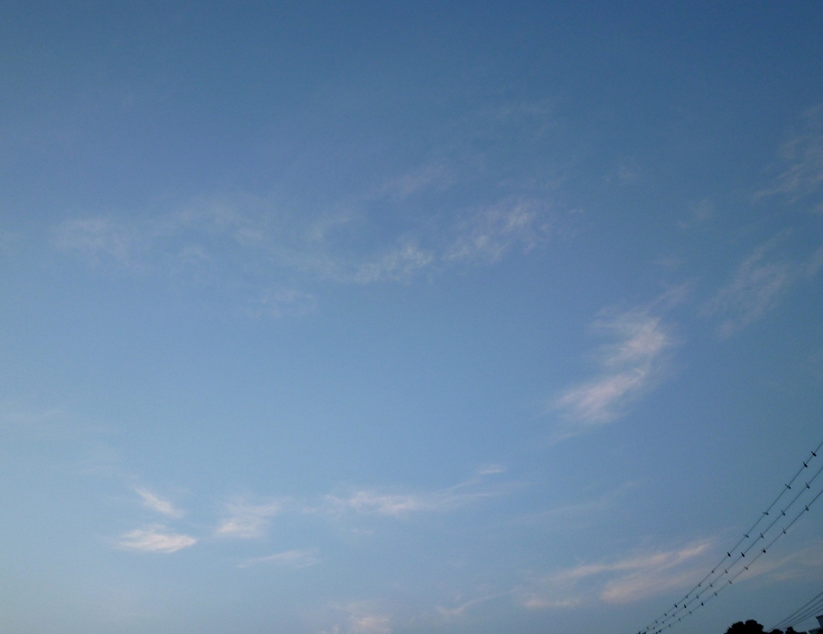 夏の空 2020年8月11日撮影